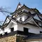 ひこにゃんの街！国宝彦根城と城下町を歩く旅