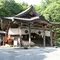 🌸金櫻神社⛩と⚔武田神社⛩