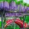 ＧＷ2023東京イチの亀戸天神の藤棚と、スカイツリー鯉のぼりと台湾ビール