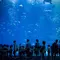 絶景と海の幸を満喫する日帰りドライブ