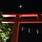 京都市南区　伏見稲荷大社御旅所～市民防災センター～おたべ～東寺