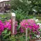 京都を歩く！（トレイルと銀閣寺周辺）