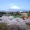 日本一(!?)富士山の絶景を堪能できるリゾート施設♪