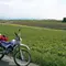夏だ！走りに行こうぜ！北の大地、北海道ツーリング！