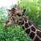 横浜/桜木町 子供と無料動物園