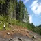 新潟の北のはじっこ！山北の暮らしの中を歩く
