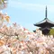 京都 きぬかけの路を歩く大人旅