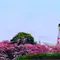 太陽の塔へ行こう！
