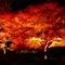 ［神奈川］ 紅葉をゆっくり楽しめる隠れスポット♪