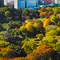 都内庭園めぐり
