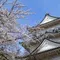 締切追い込みの旅