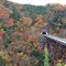 【紅葉が見頃】静かな場所で紅葉を堪能【神石高原町】
