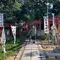【広島県】しまなみ海道サイクリング🚲因島と生口島を女ひとりで巡る旅