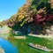 紅葉の長瀞【1泊2日】