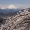 新宿から120分で富士山絶景スポット、プチ登山。
