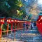 11月京都、紅葉を求めて①