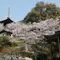 八十八か所遍路　巡礼と寄り道？　阿波市7番十楽寺～10番切幡寺～♪