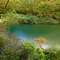 6月の秋田で自然を満喫🍃