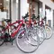 E-bike Cycling in Kyoto Miyama