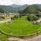 ナイナイお見合い大作戦　次回開催予定地　和歌山県有田川町の魅力　～有田川町の花嫁募集～