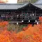 JR線だけで京都の紅葉を巡る 東福寺から泉涌寺七福神まで