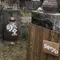 【阿蘇時間11 合志市〜阿蘇市〜白水〜河陰】