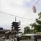 太子七大寺を建立した聖徳太子。今も謎多き厩戸皇子と聖徳太子の素顔に迫る