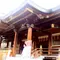 湯島天神と猫を巡る