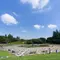 【三宿】都会でみんな大好きピクニックをしよう♡