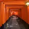 千本鳥居の伏見稲荷と鳥羽伏見