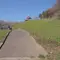 パンを持ってピクニック♡お手軽ピクニックプラン(愛媛県四国中央市 編)