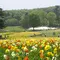 国営武蔵丘陵森林公園