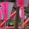 東京ぶらりで満喫しましょう。