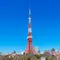 東京タワー近郊 散歩コース