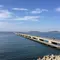 わんこと南房総