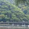 新緑の嵐山、世界遺産 天龍寺と仁和寺