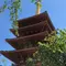 高幡不動で88箇所巡り