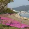 ぶらり…湖都・大津