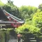 願い事を叶えるんるんるん