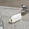 休日のひとり遊び