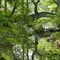 広尾で綺麗になる
