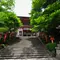夏の京都でいい汗かこう！
