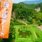 夏の但東町・田んぼアートとひまわり畑を巡る旅