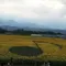 桃パフェにひまわり畑、花火…インスタが盛り上がるスポット満載！山梨夏の小旅行♪