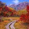 白馬栂池高原の紅葉