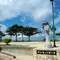 沖縄海沿いドライブー！