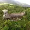 【妄想旅行】インドネシア編