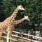 こどもが大満足な動物園