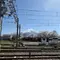 １泊２日ゆったり山梨・鉱石旅