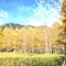 【紅葉満喫🌳🍂】ハイキングで楽しむ日帰り日光ぶらり旅♡